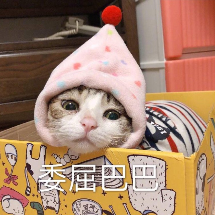 猫咪发出咕噜咕噜的声音原来有这些含义！