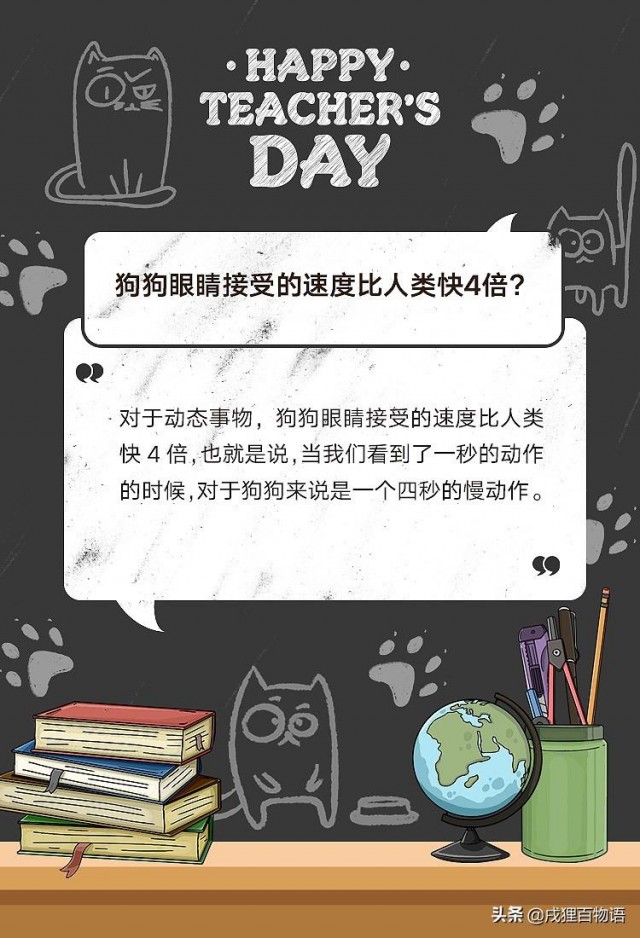 10个宠物冷知识知道3个算我输