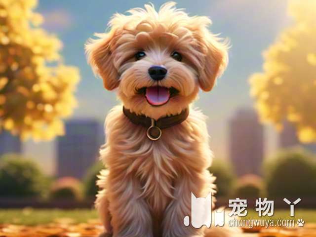 萨摩耶犬能长多高？